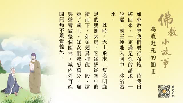 为戒赴死的国王-第211集