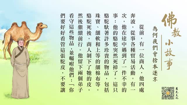 为何我们会舍本逐末？-第229集