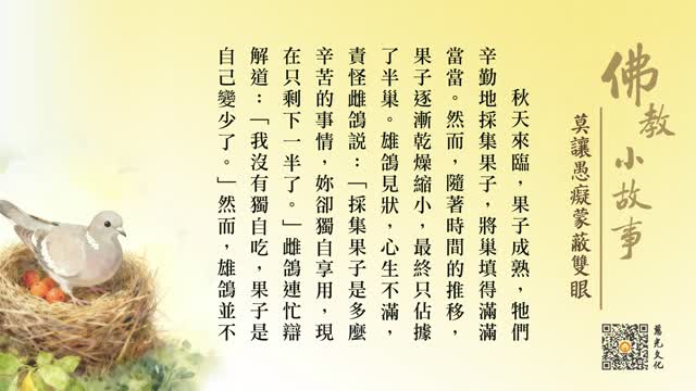 莫让愚痴蒙蔽双眼-第233集