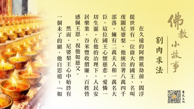 佛陀剜肉燃灯的故事-第235集