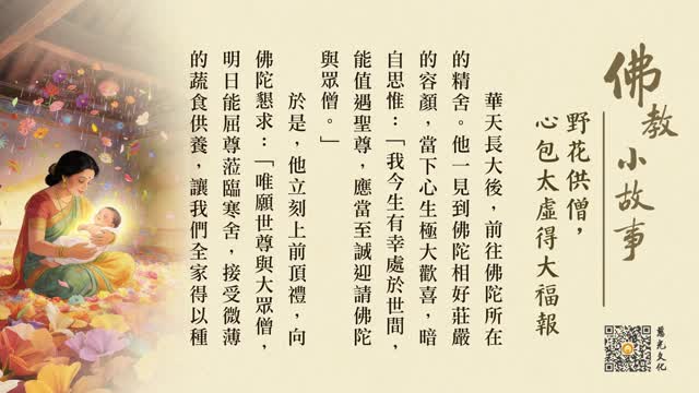 野花供僧，心包太虚得大福报-第247集