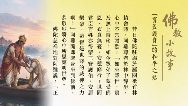 “宝盖护身”的和平之君-第275集
